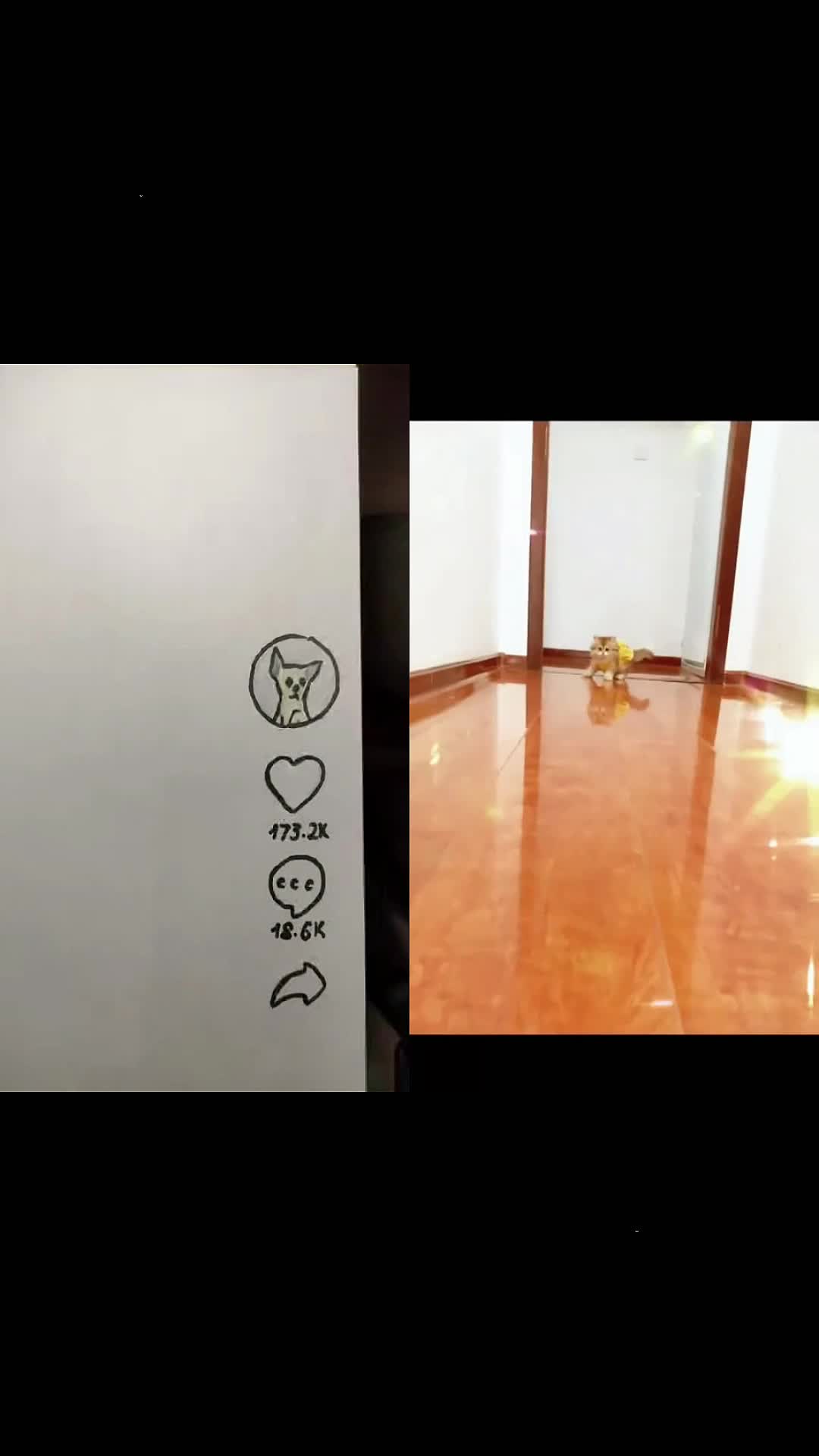 @MAX64WEYH