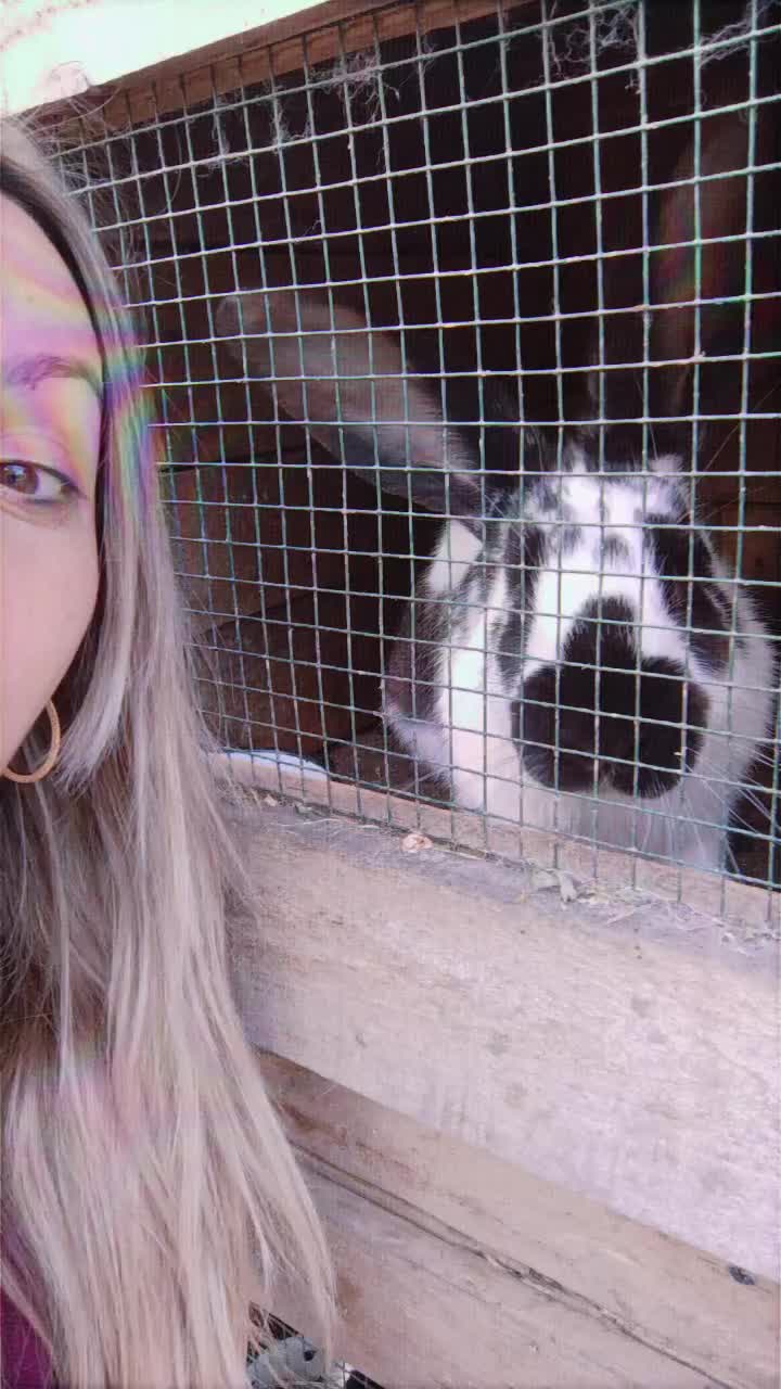 @Blonda🤪🥰💗