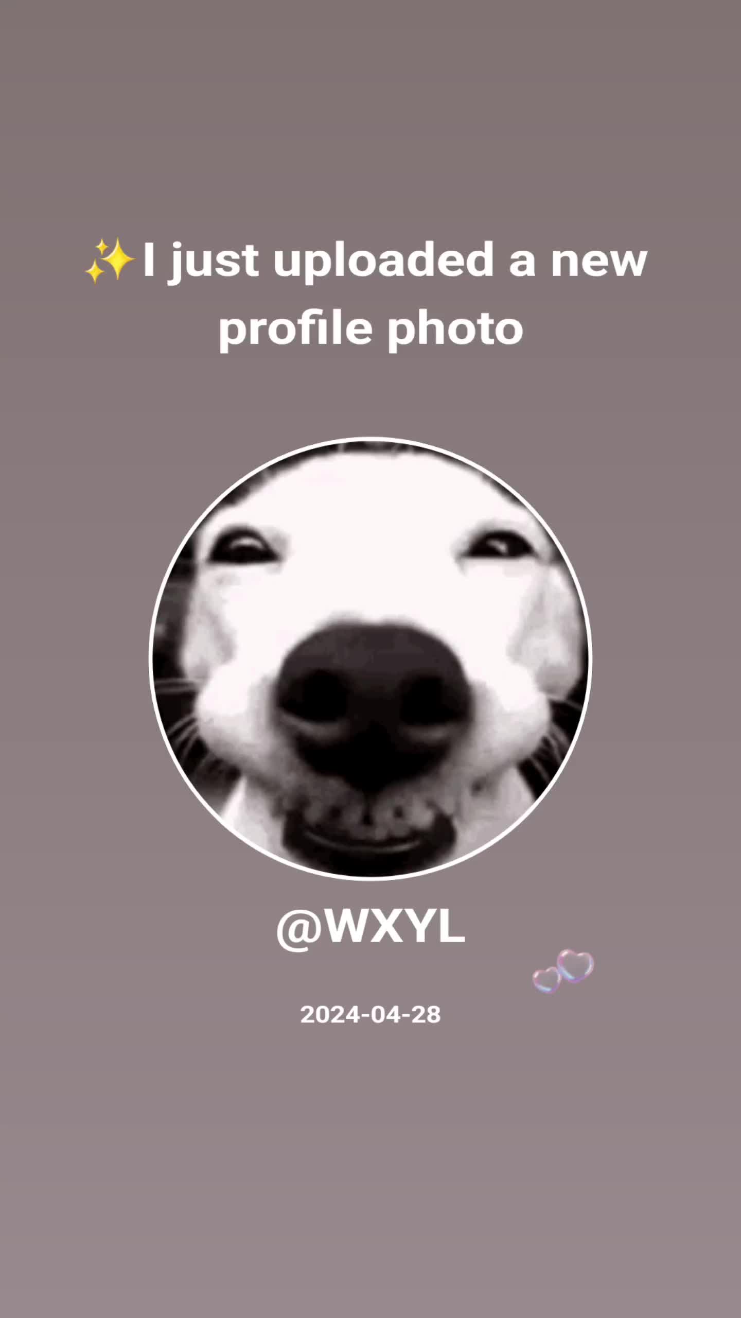 @WXYL