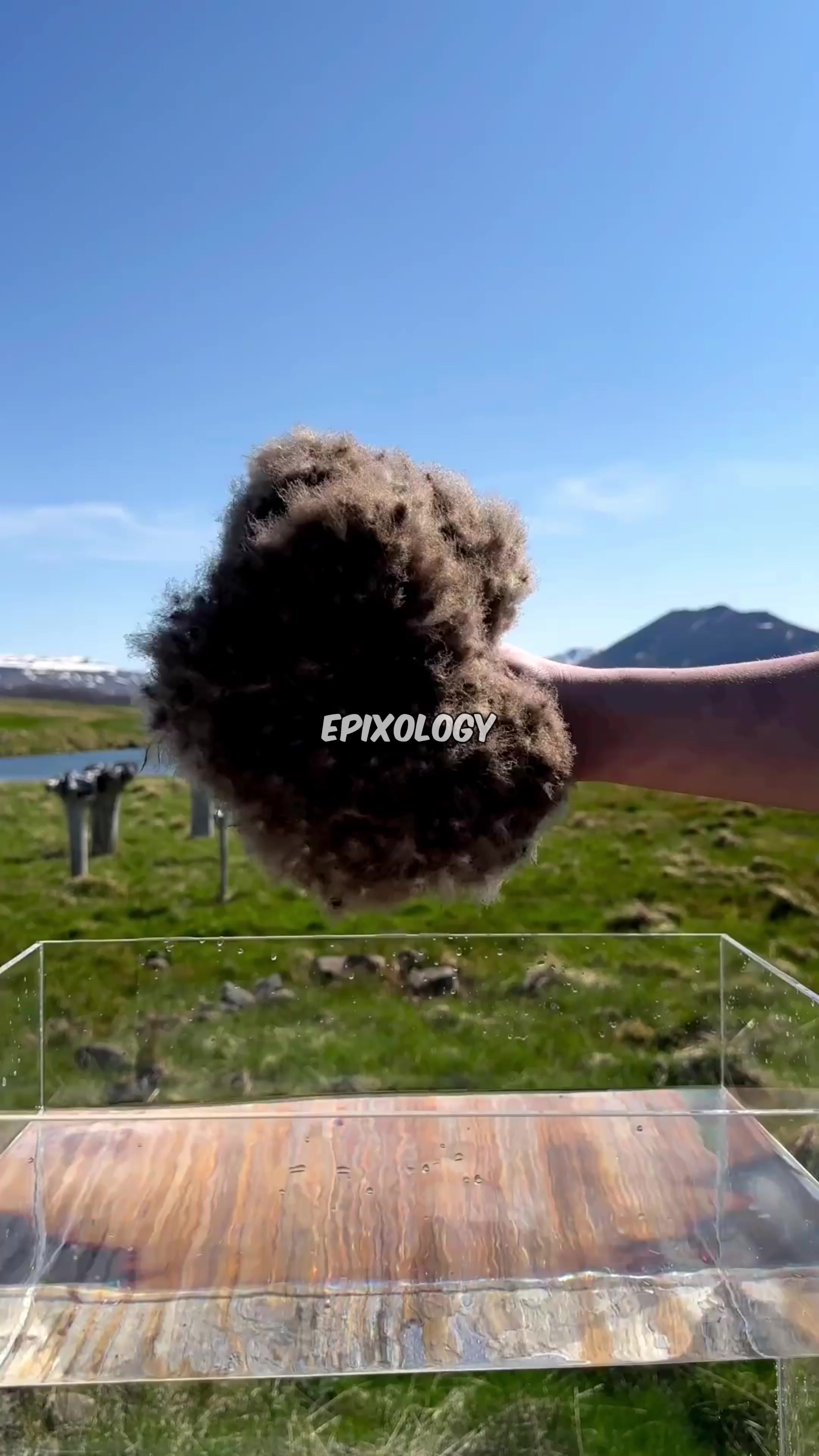 @Epixology