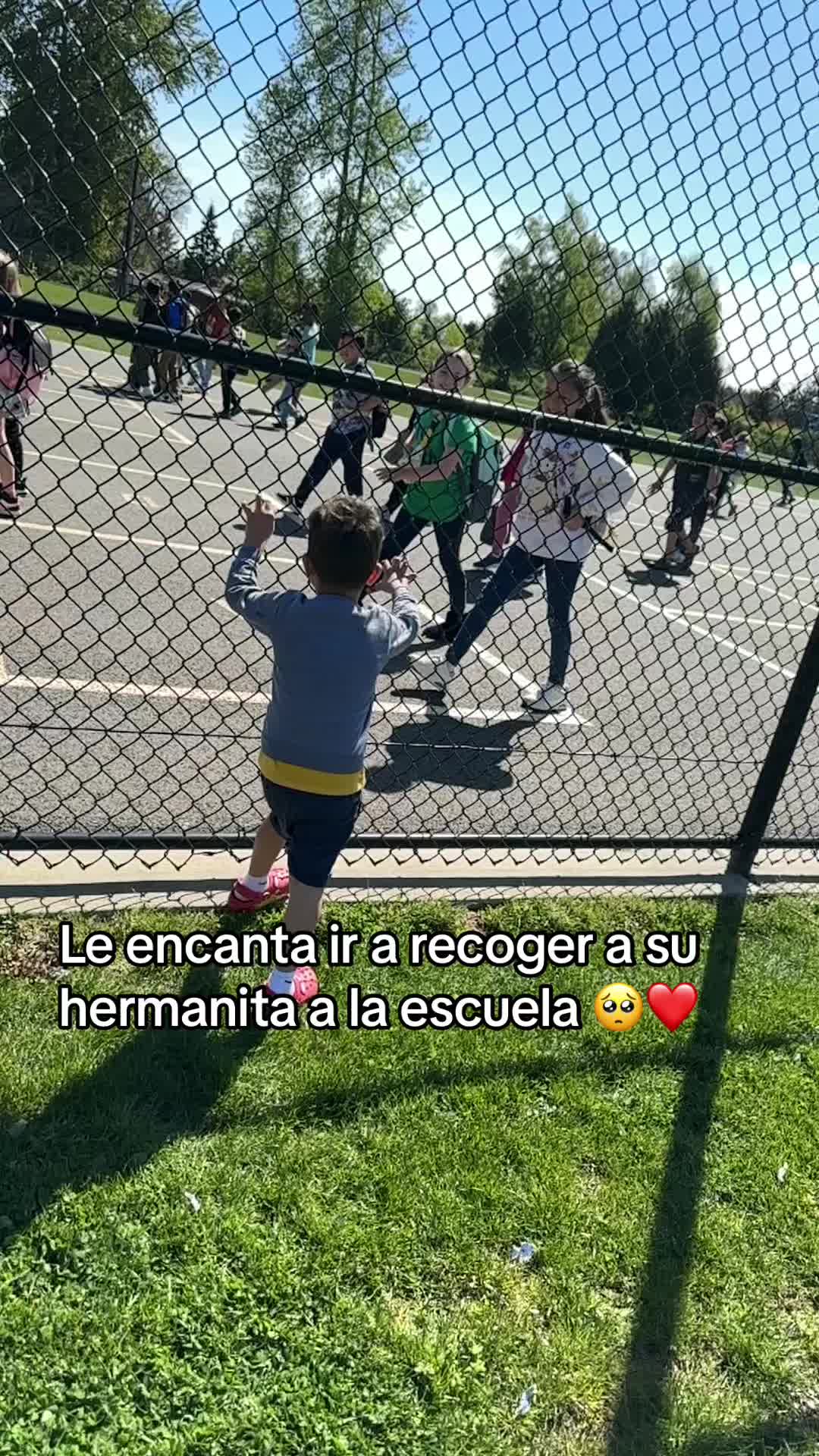 @Nilser❤️