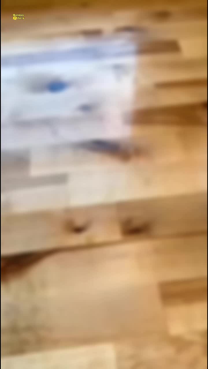 @Qurious Jerry