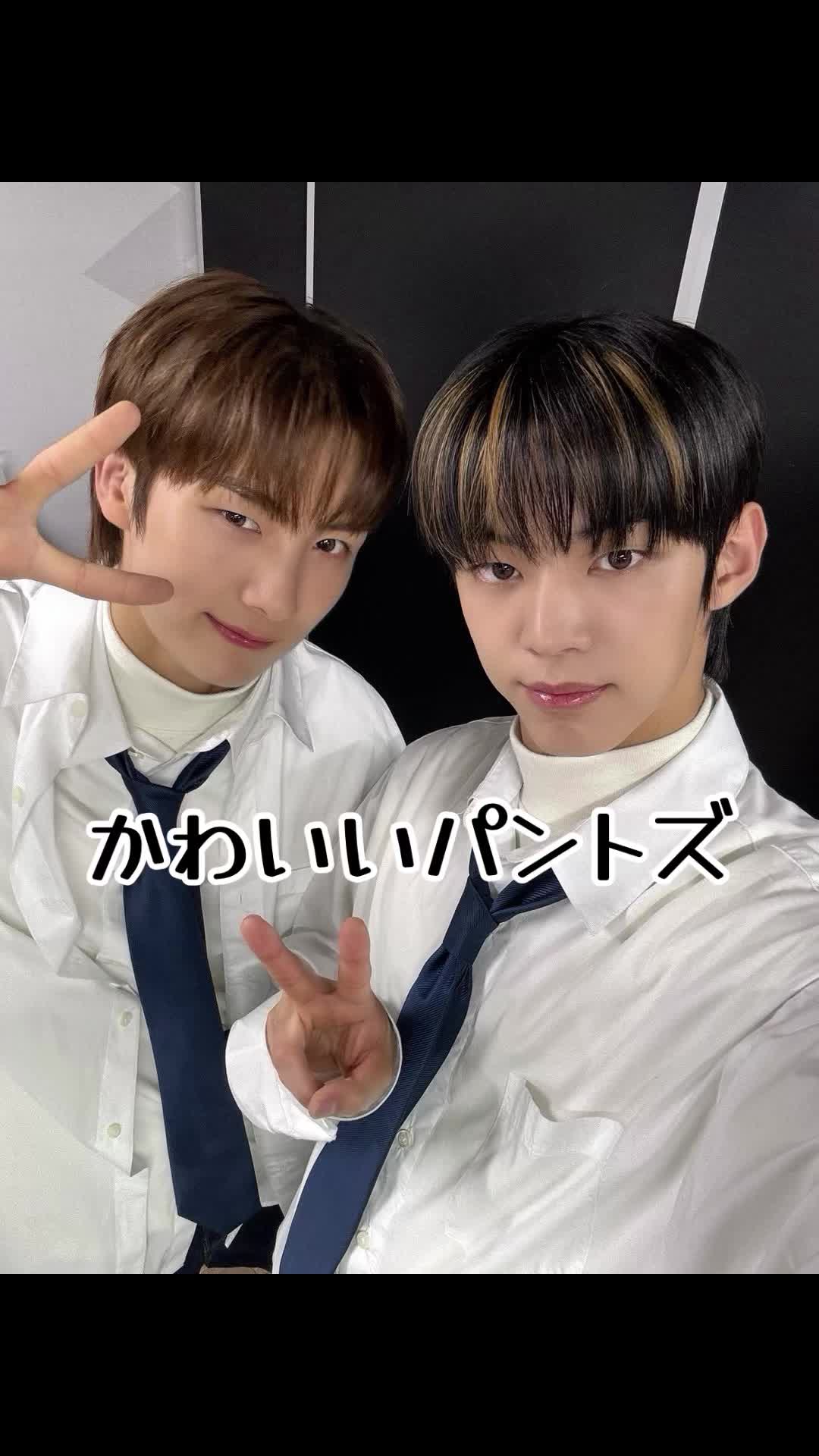 @냥멍멍