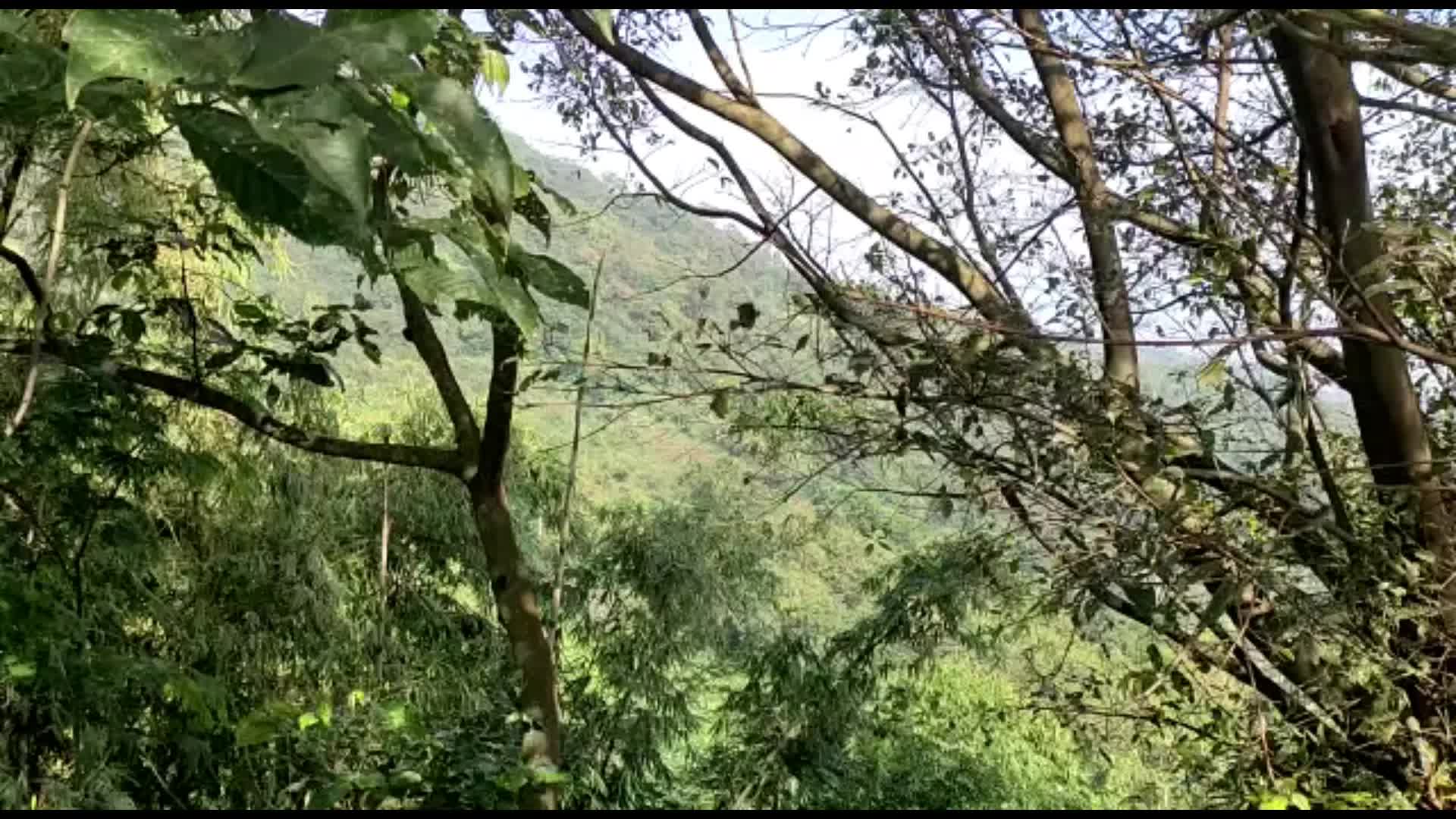 @Toto Juhanto