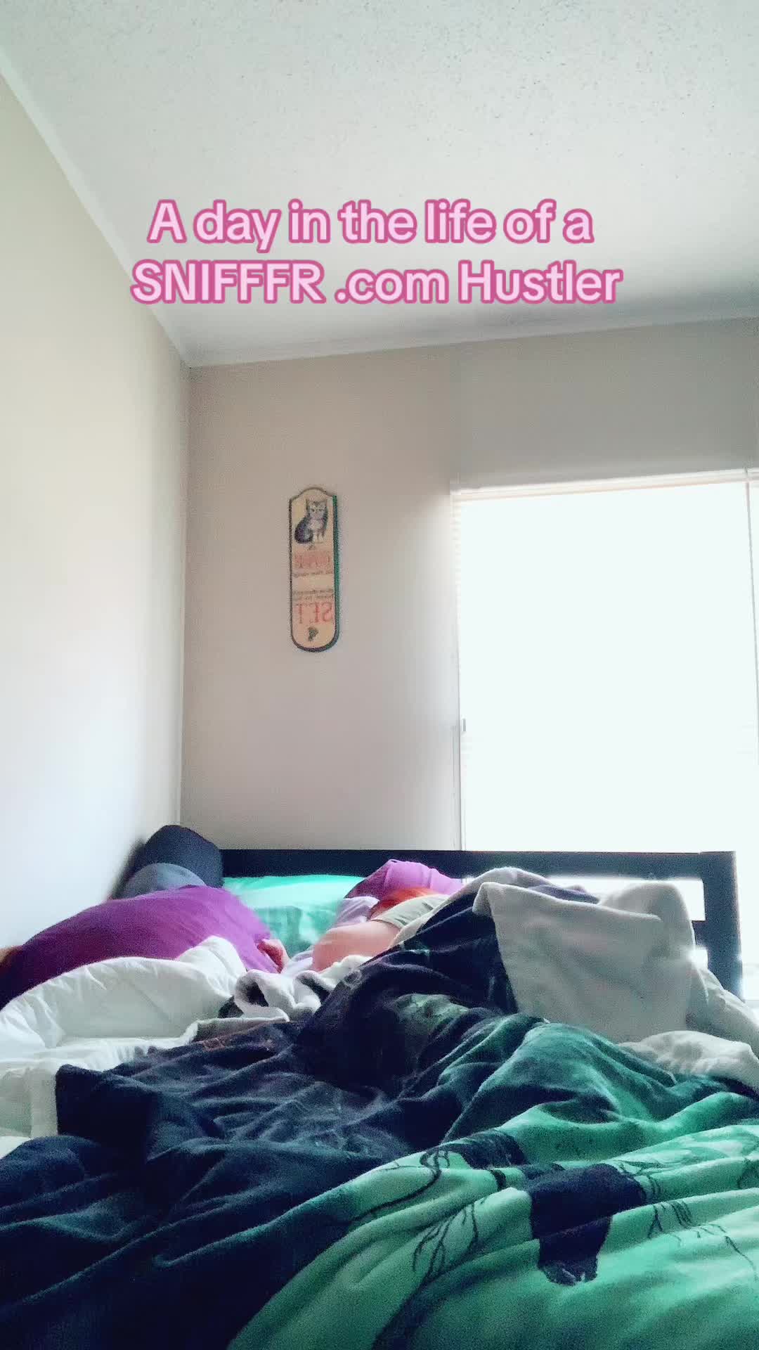 @Snifffr_Hustler