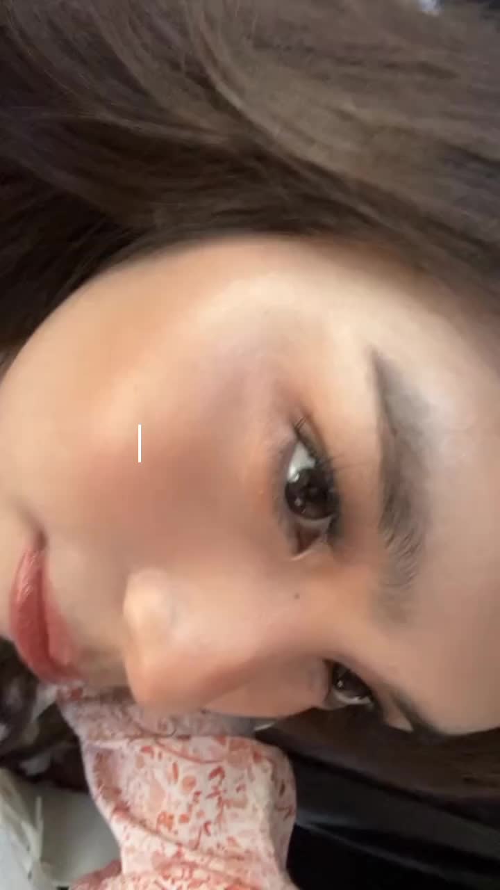 @👑𝓷𝓸𝓿𝓮𝓵𝓪 𝓼𝓽𝓪𝓻𝓼👑