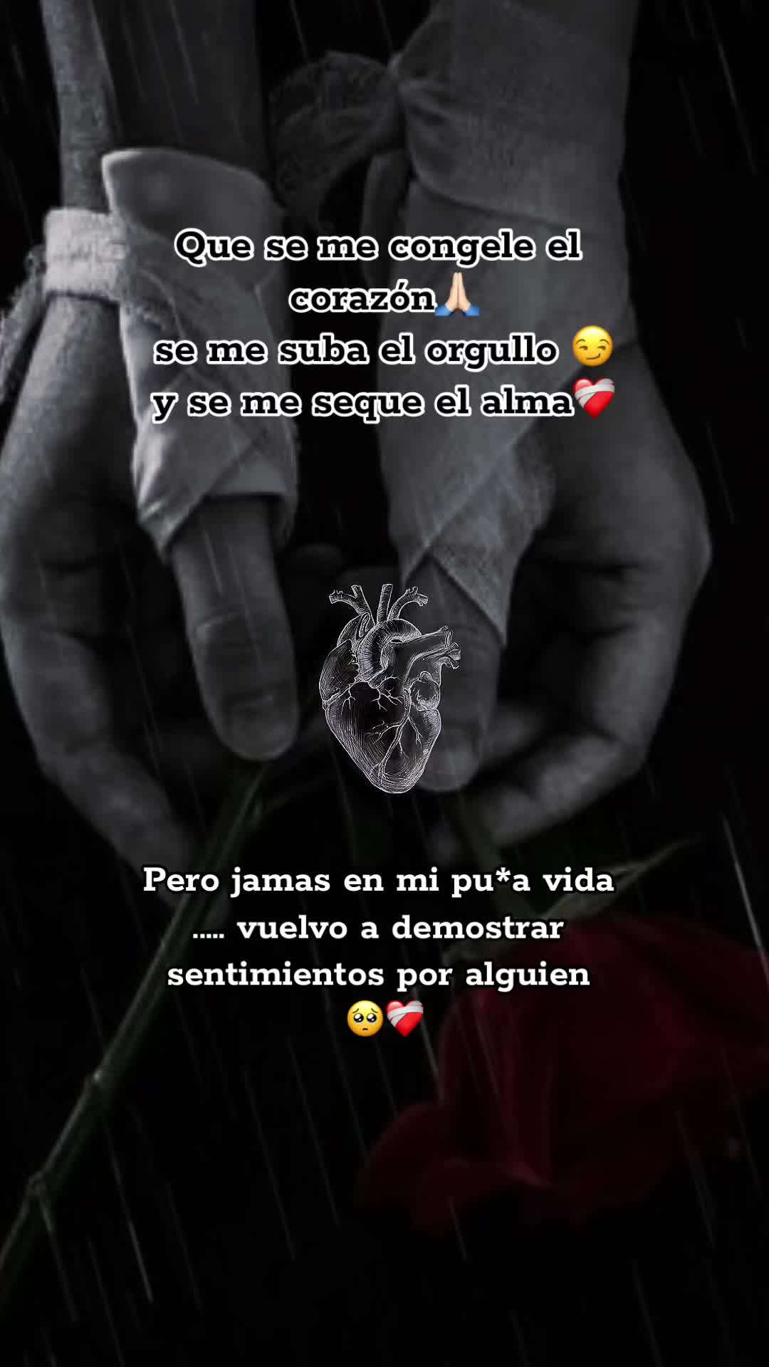 @💫𝐻&Auml;𝒴 &Ccedil;&Ouml;&Scaron;&Iuml;𝒯&Auml;💫