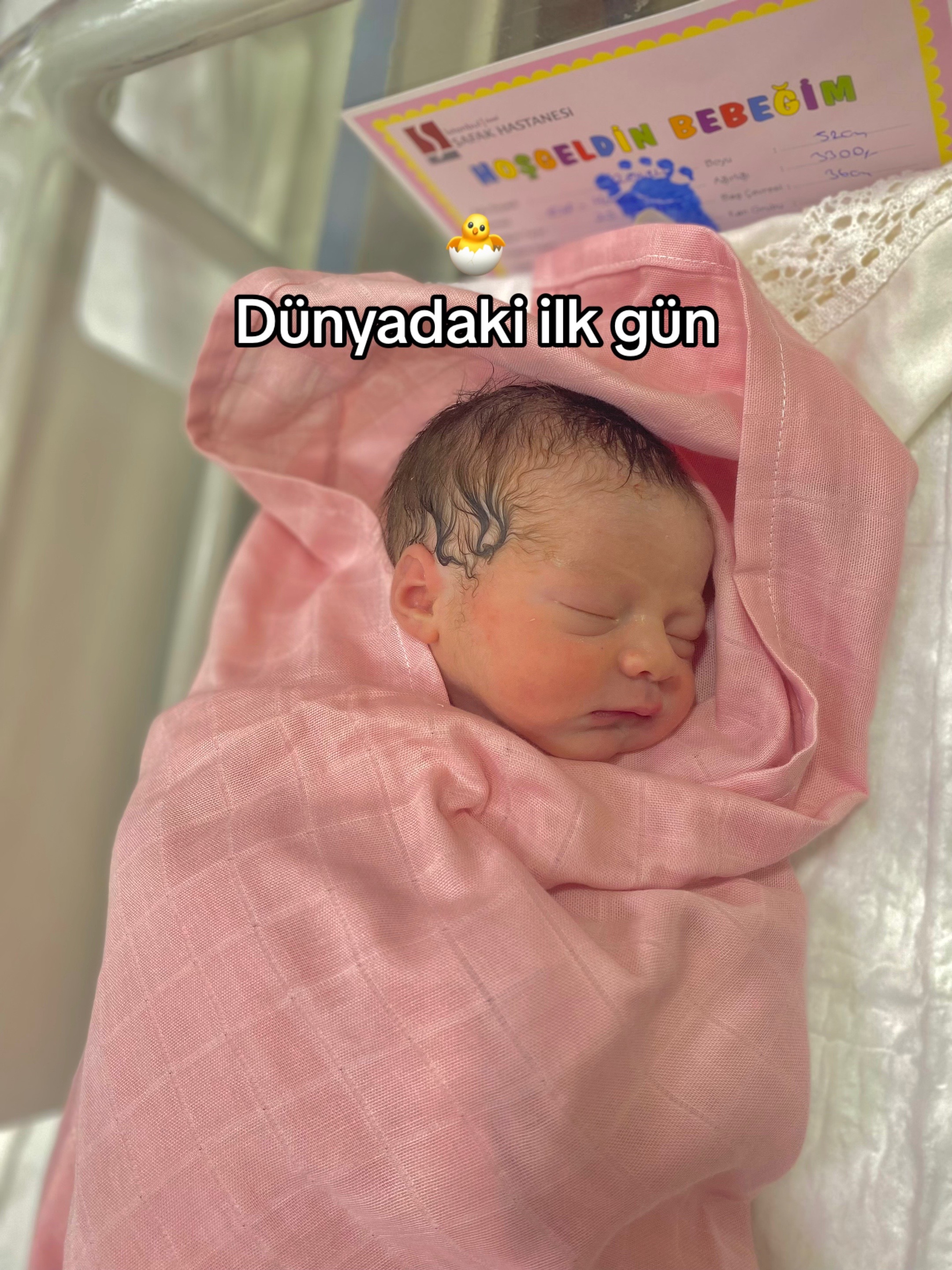 @Elif Zehilli