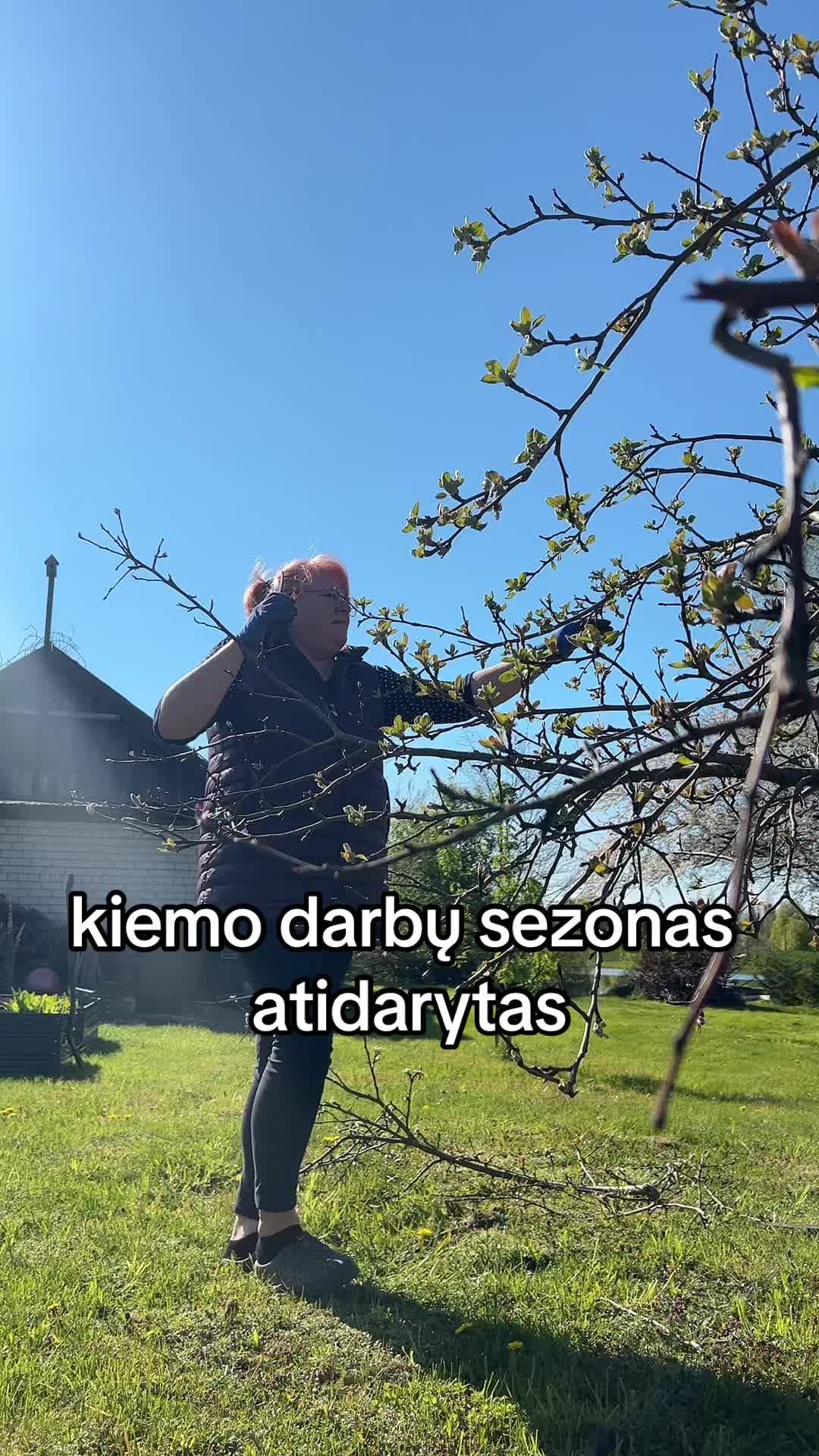 @Darja:)