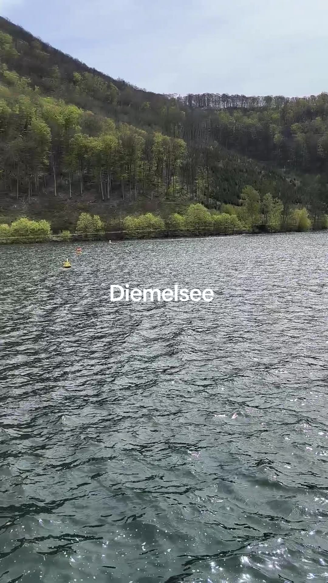 @Anastasija Merkel