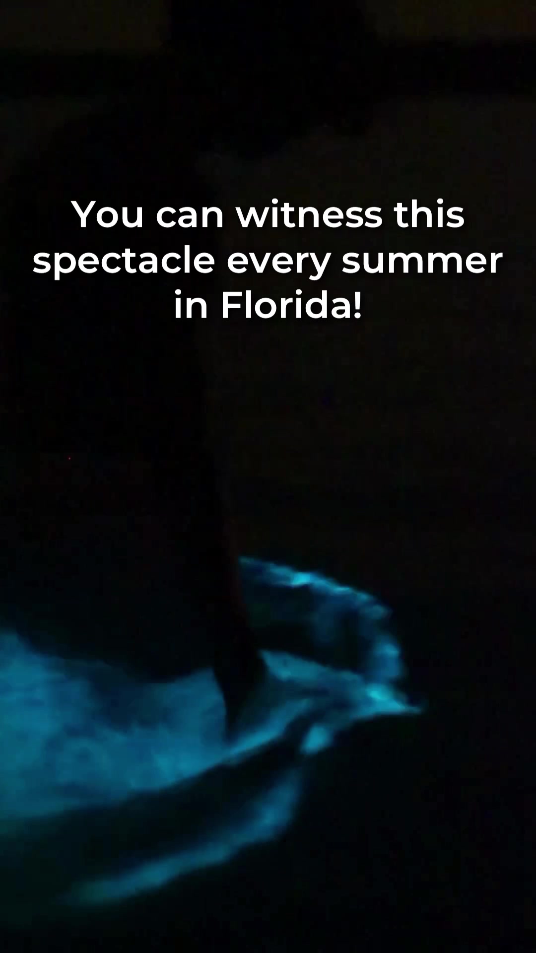 @Must See Florida