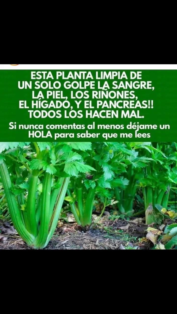 @todos se lo debo a Dios