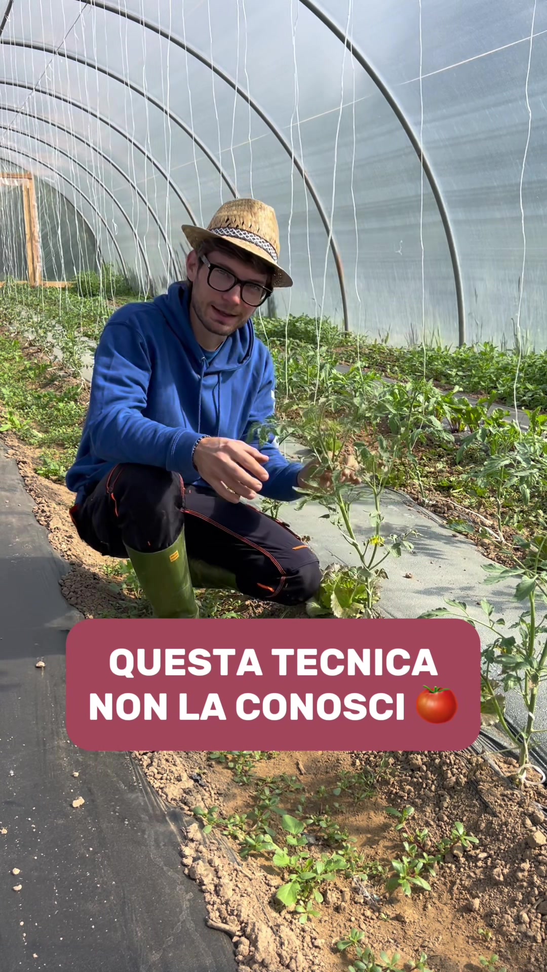 @dolcefattoria