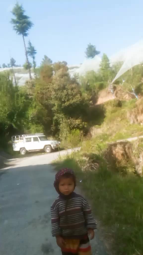 @anilsunar398