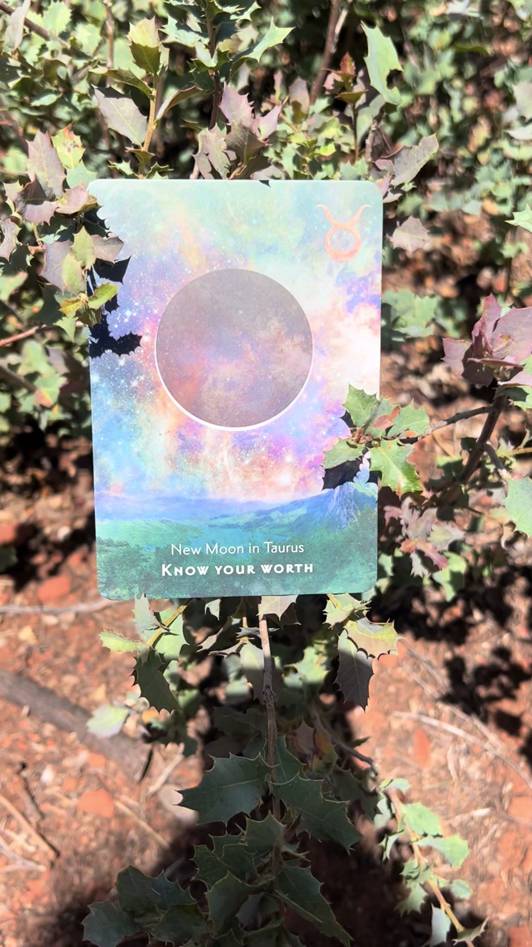 @💫 Star Keeper Oracle 🔮