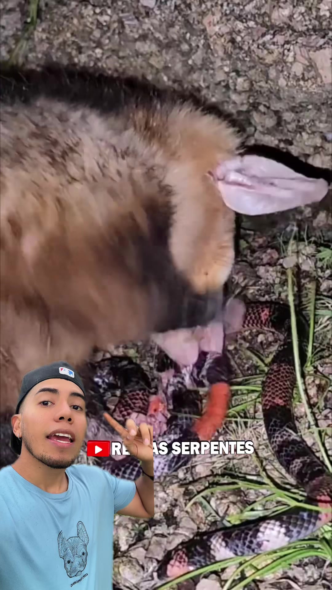 @Soy Sebassalvaje (d&uacute;os)