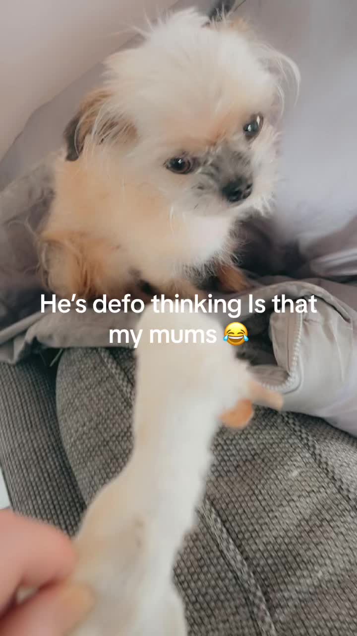 @Demi Marie 💕