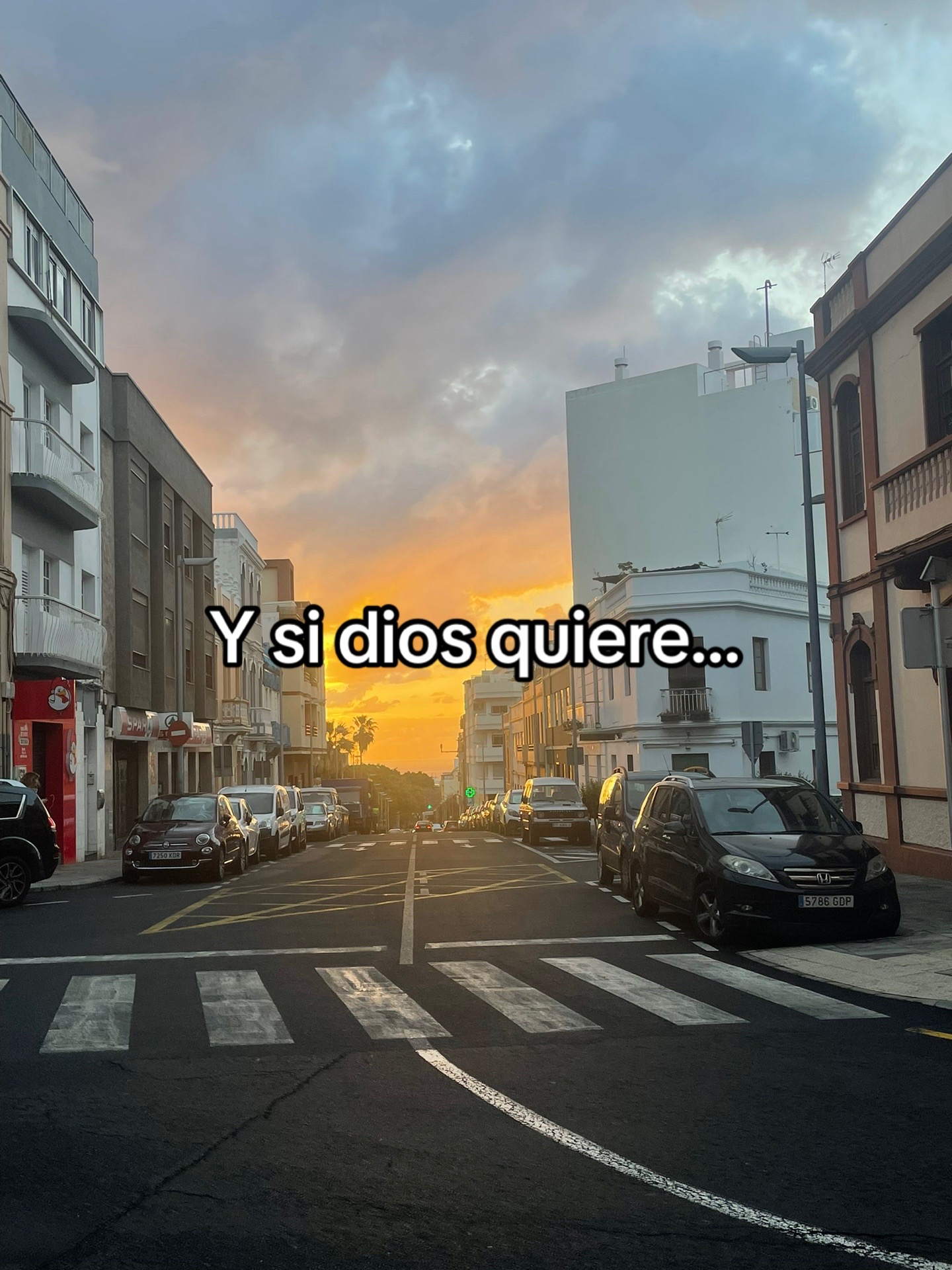 @tomasrdgz