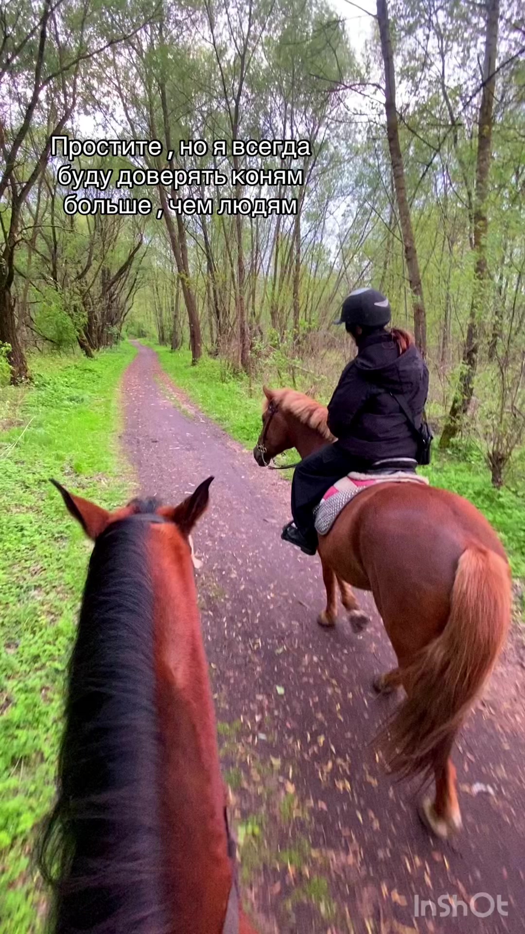 @❗Брест❗ 🐎Конюшня 🐎