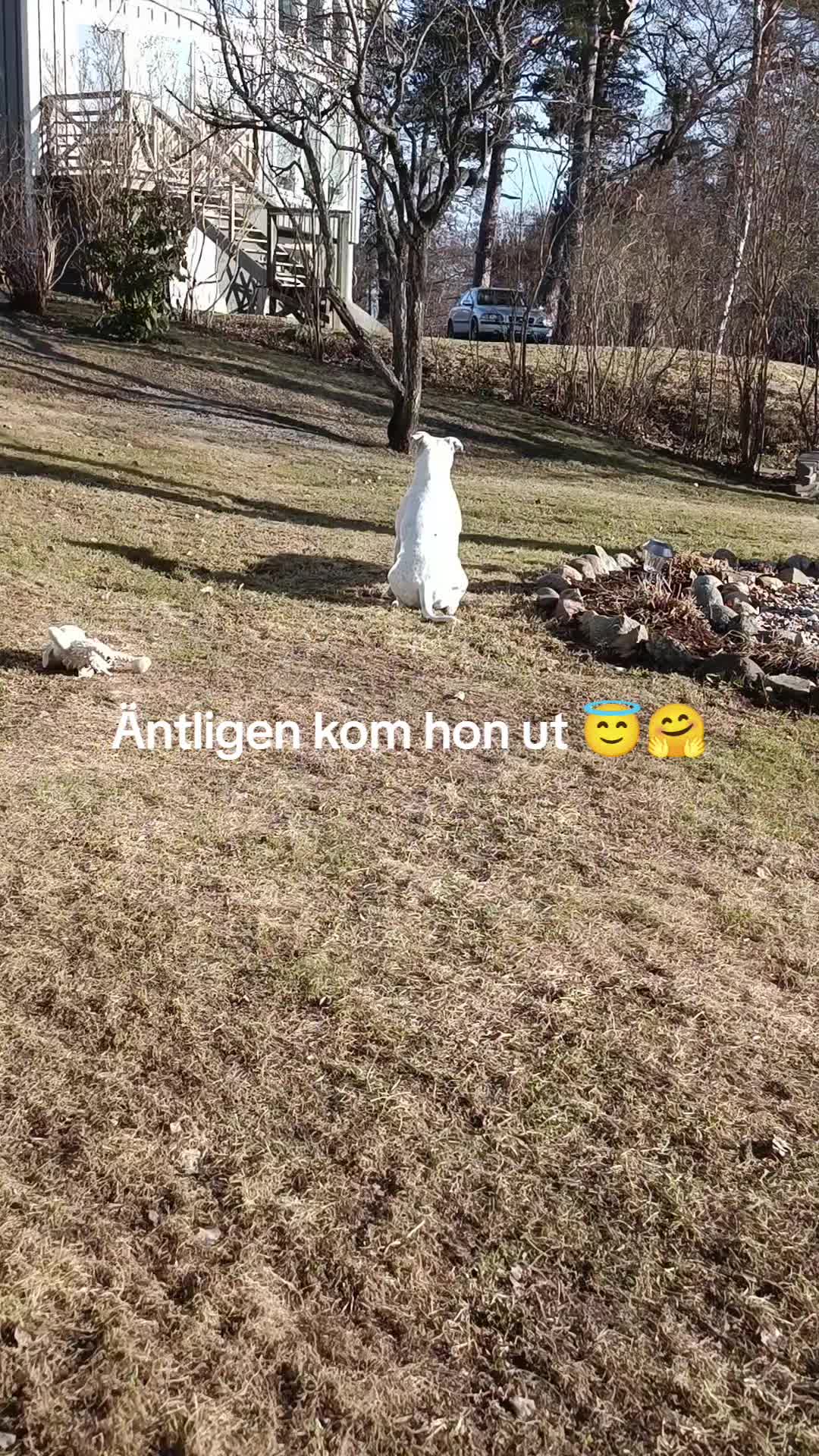 @Emma Terneborg