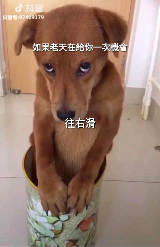 @正常人