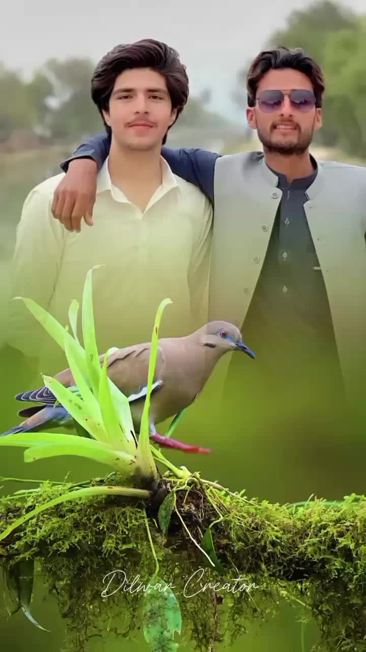 @@itxmeAsimjan 💔