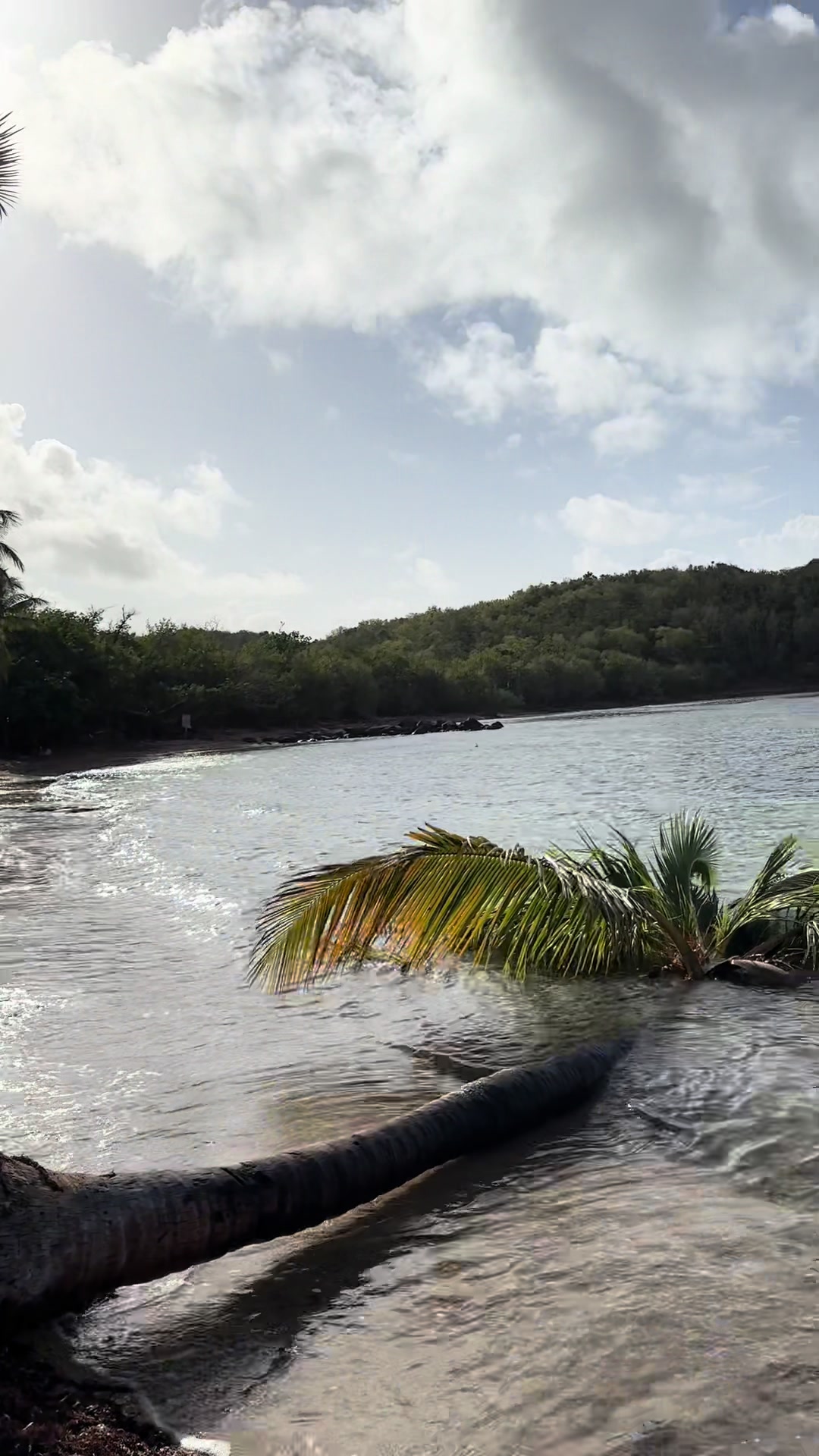 @Bolongo Bay