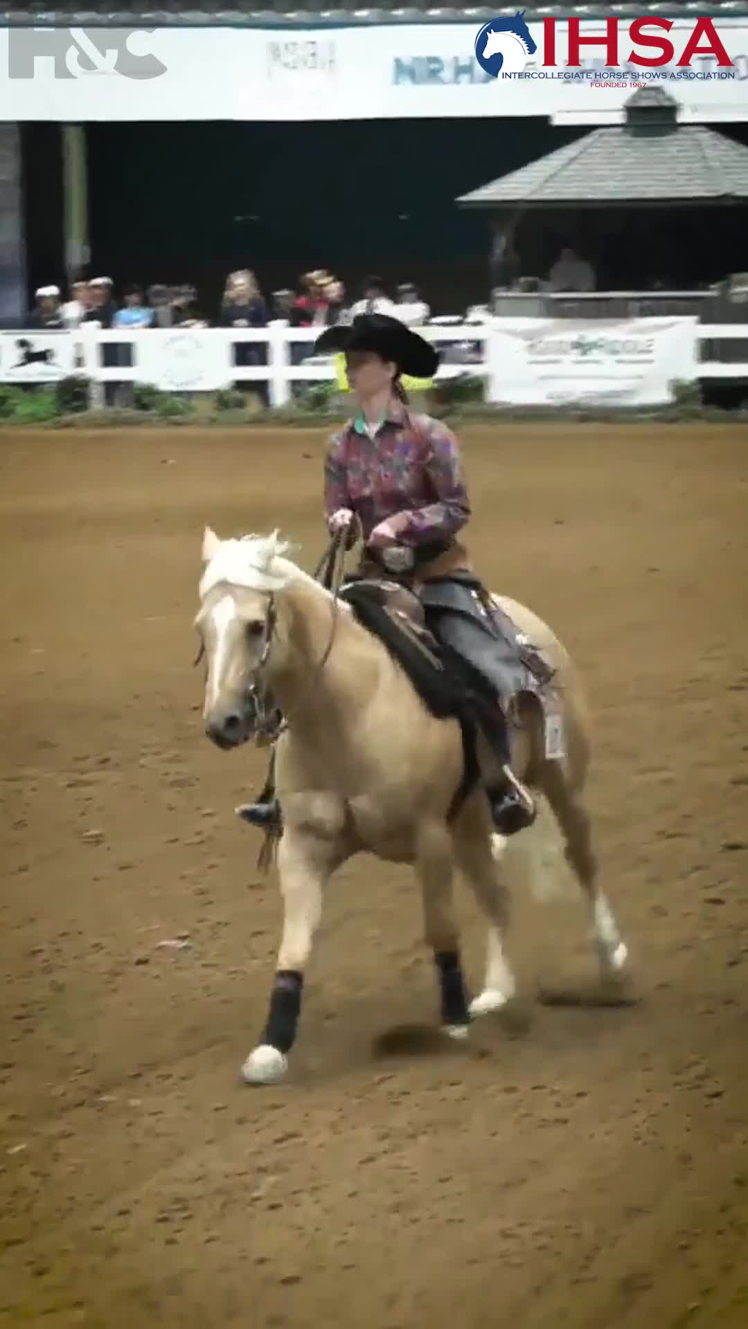 @Young Rider