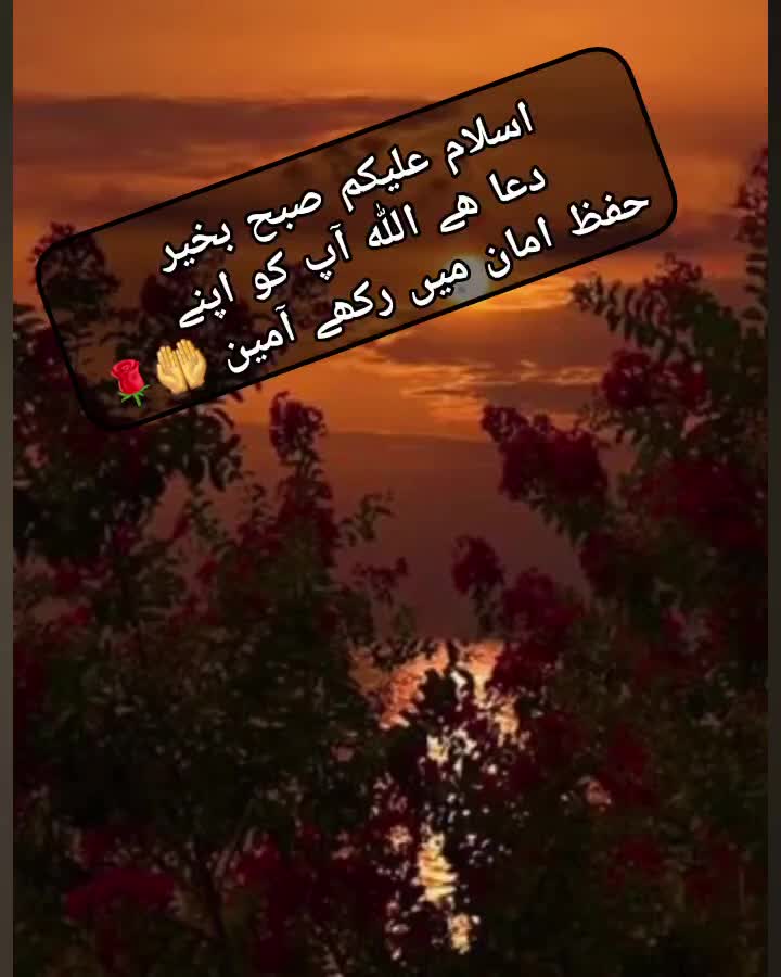 @Zubi🙋&zwj;♀️زوبی
