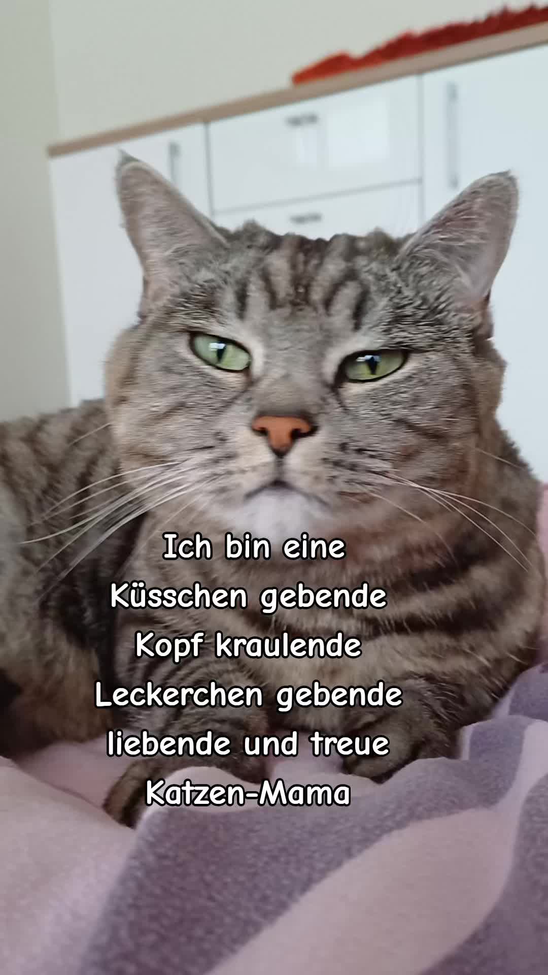 @ingrid