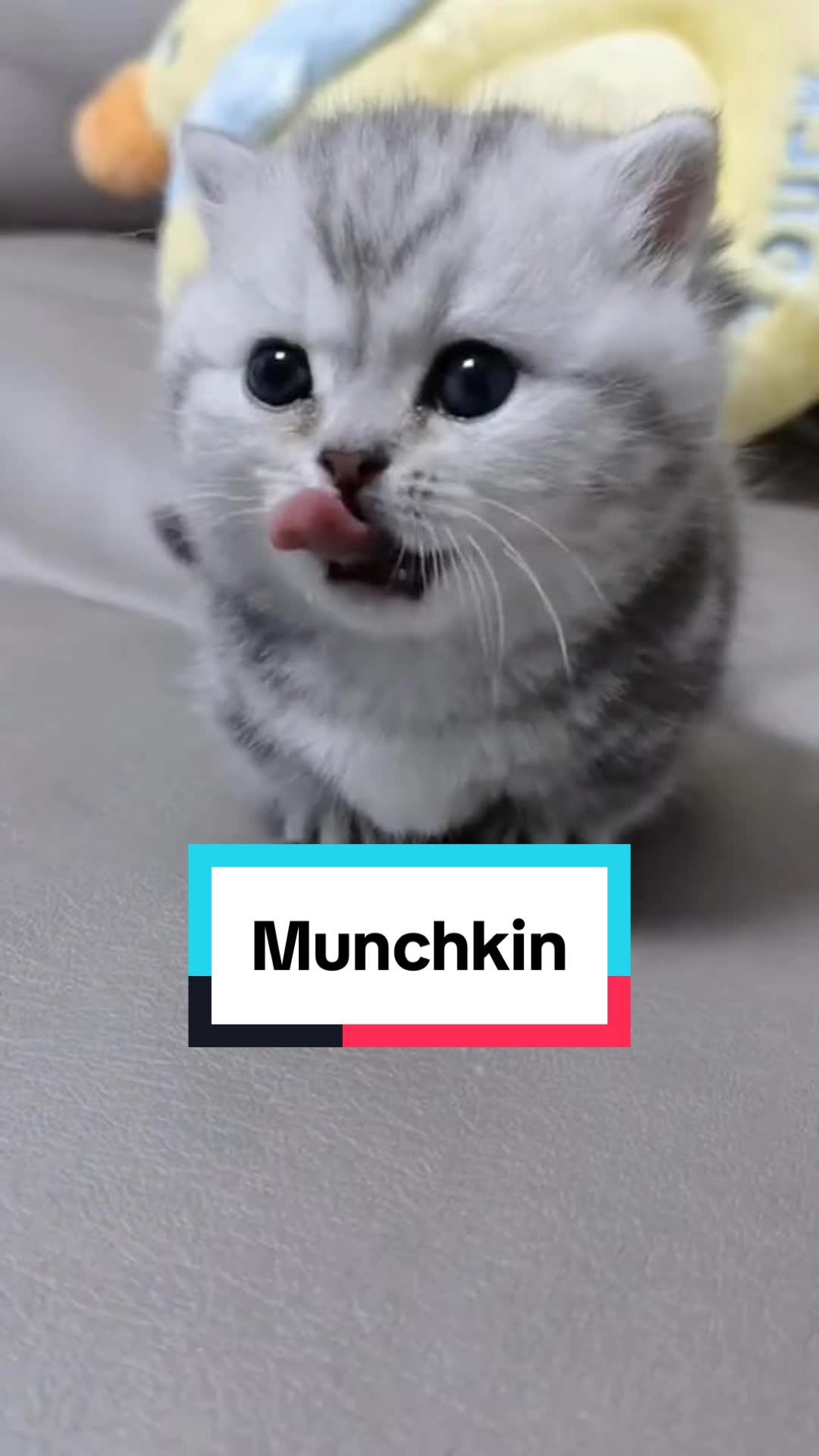 @herumreisen