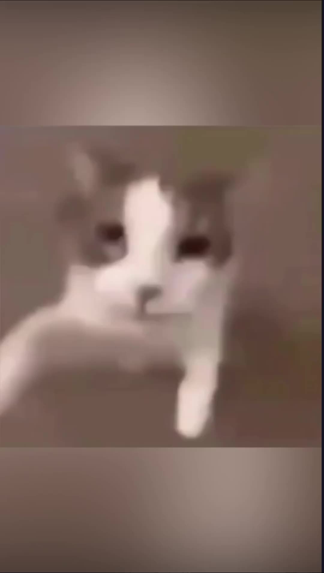 @່່່