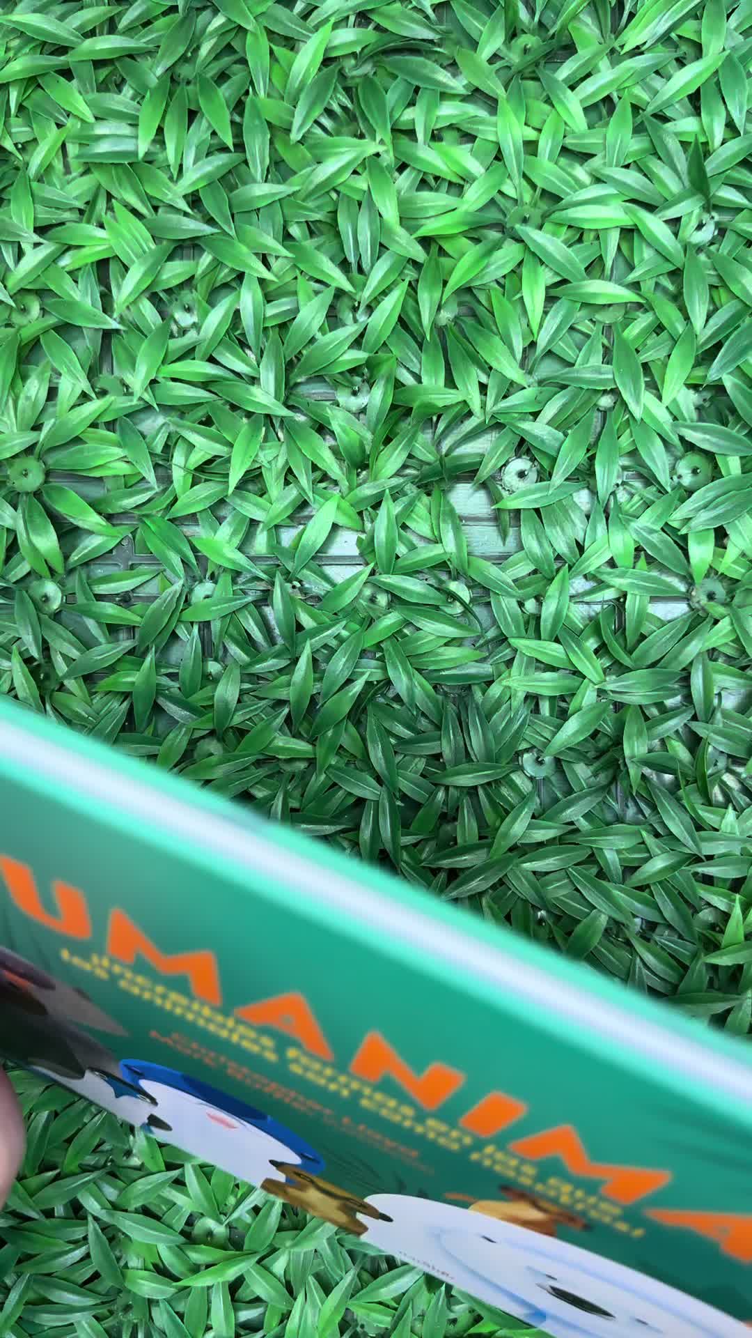 @LIBELULAMX