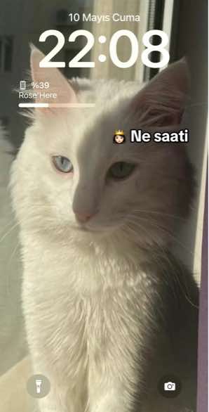 @gulbalcann