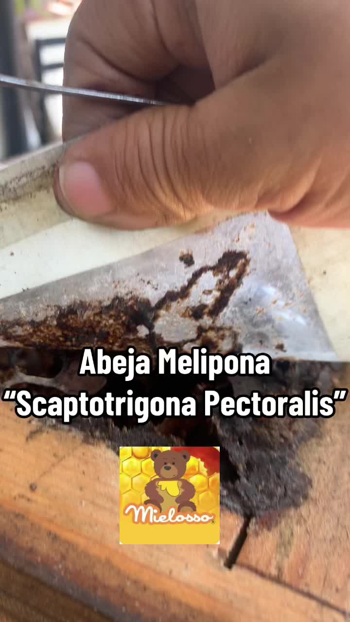 @jardin.de.la.abeja