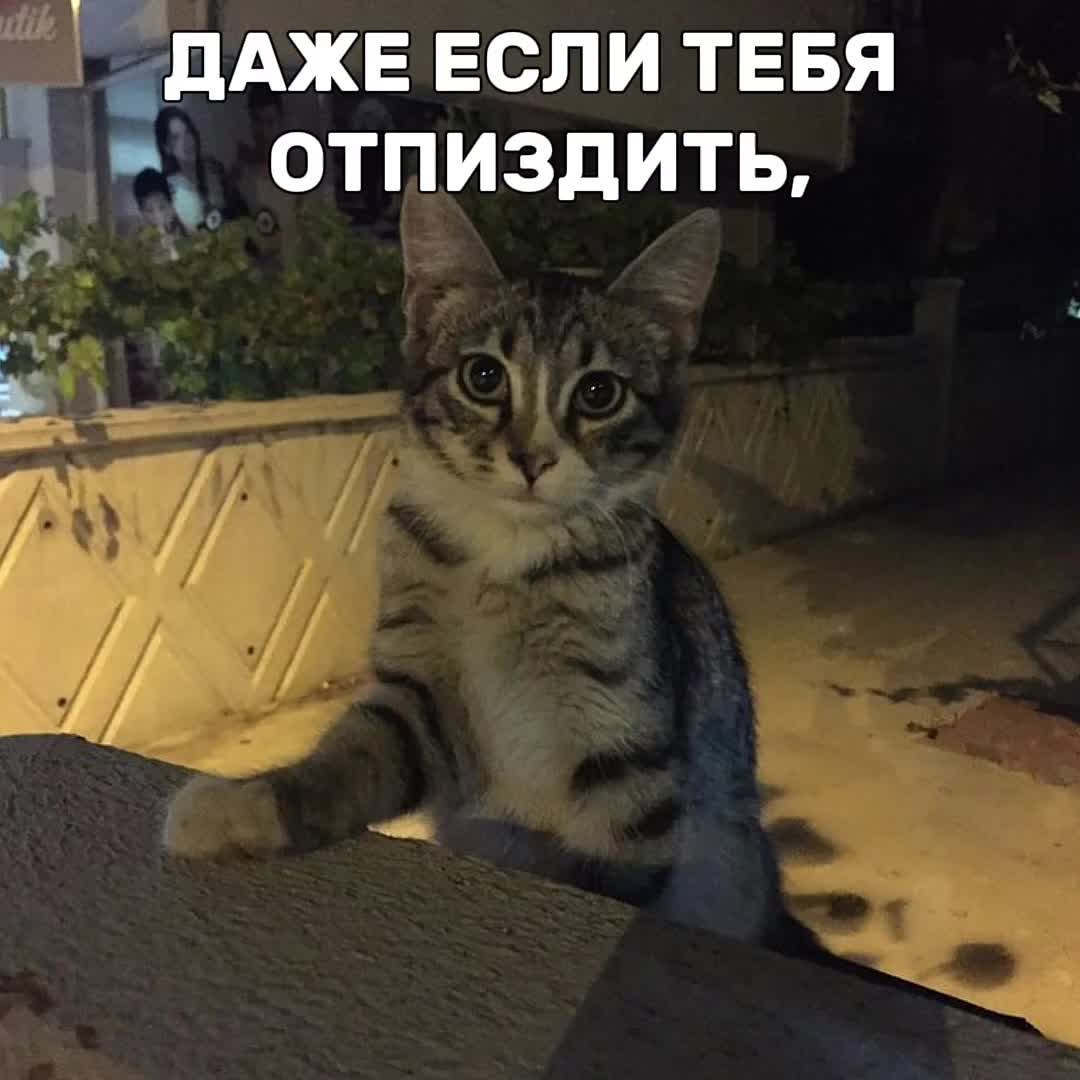 @ᶻ&nbsp; 𝘇 𝓵𝓲𝓼𝔀𝓮𝓷 🩹