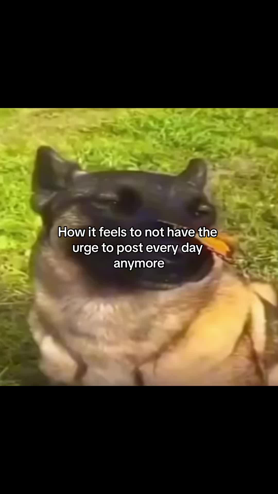 @angel