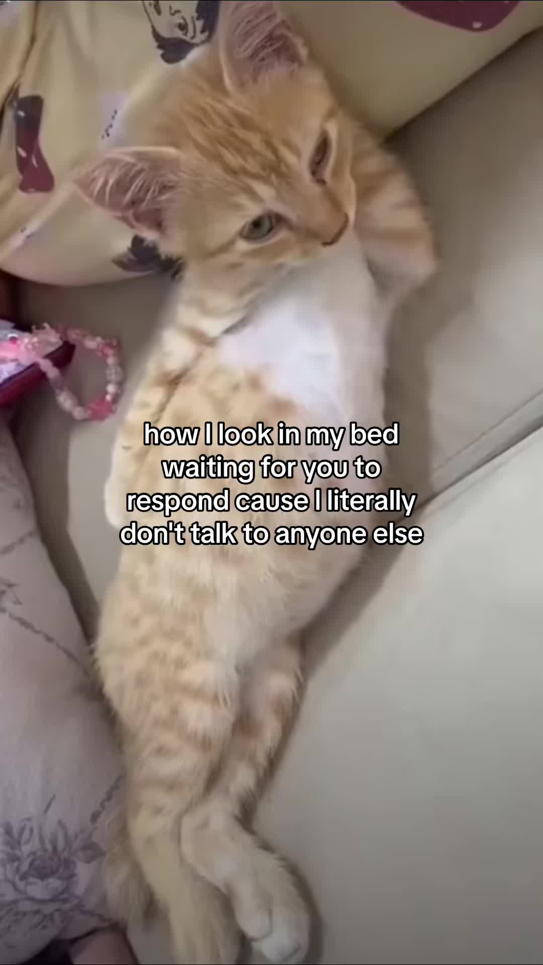 @Alice.cattok