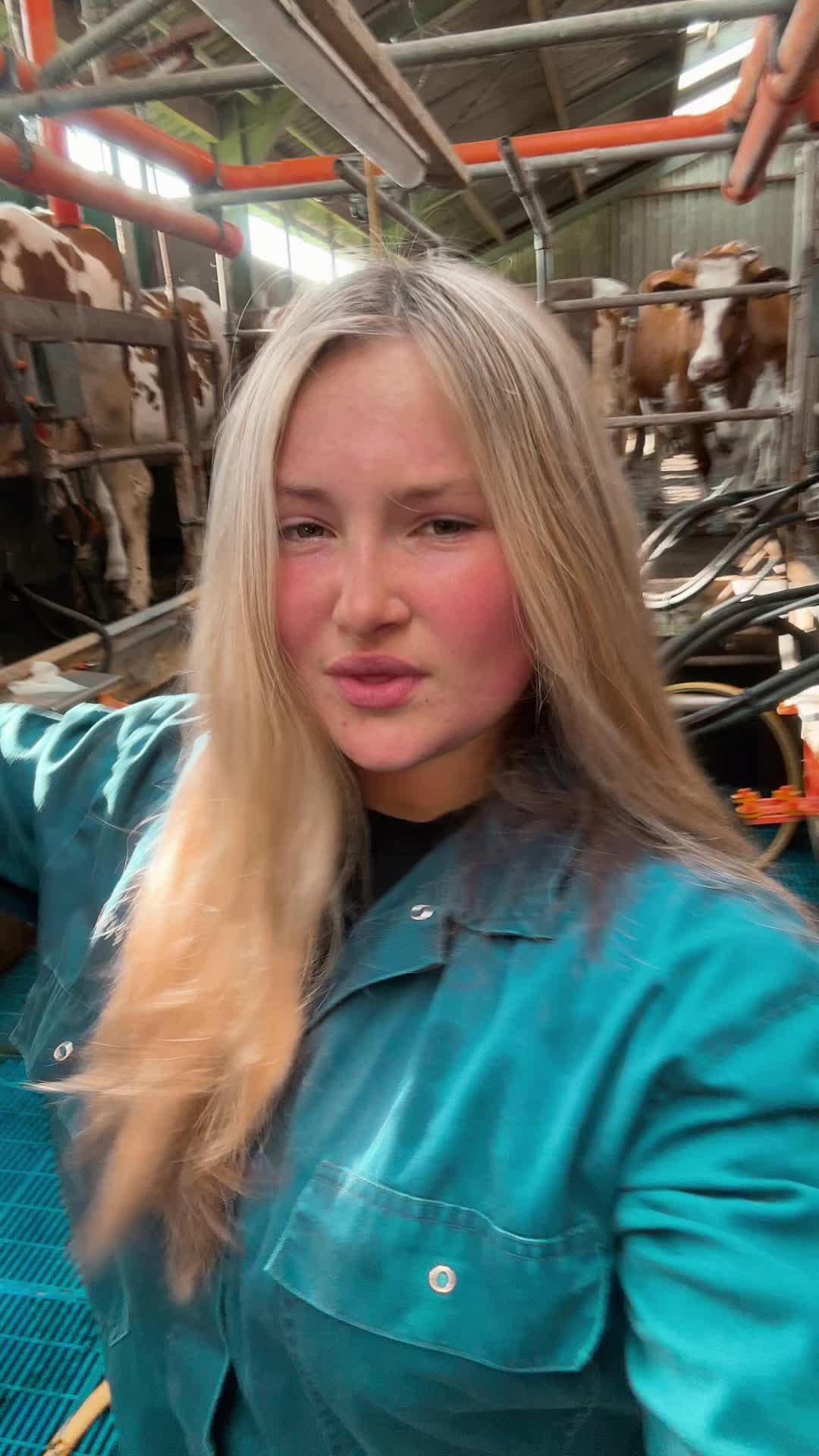 @Niekje🚜