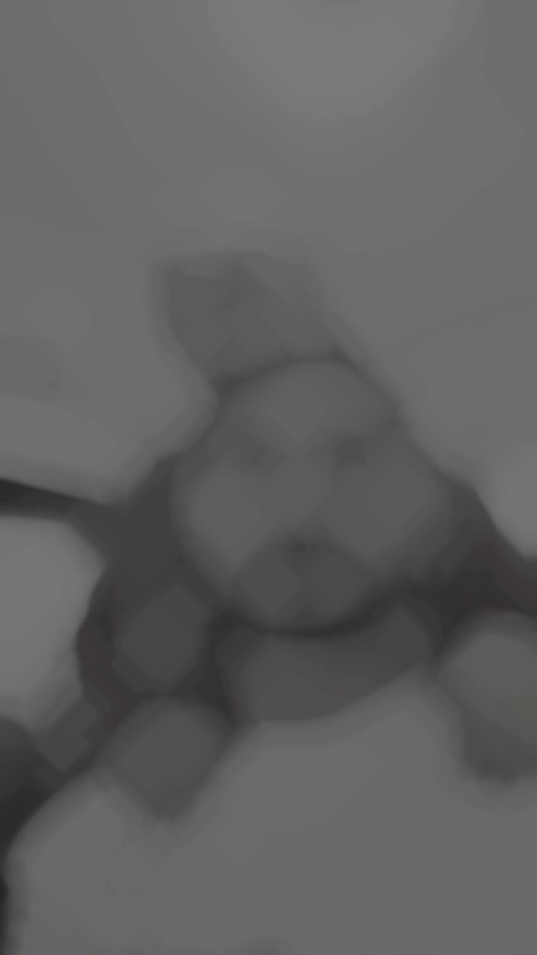 @𝙺𝙾𝙼𝙰𝙽𝙳𝙾