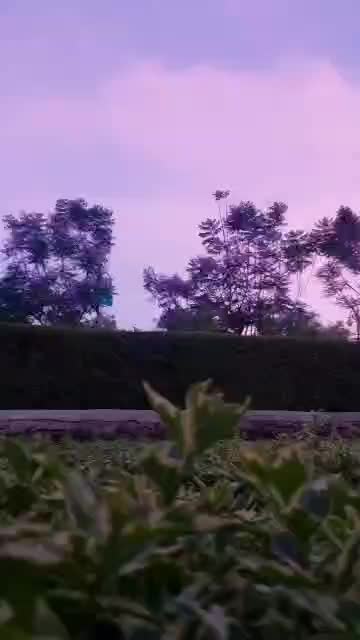 @MMK92