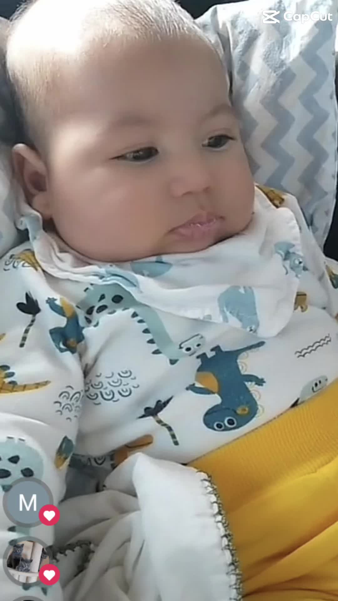 @Meliha Tahsin Duru
