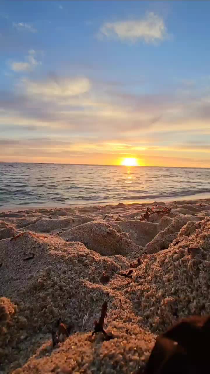 @bitchescumandgoo