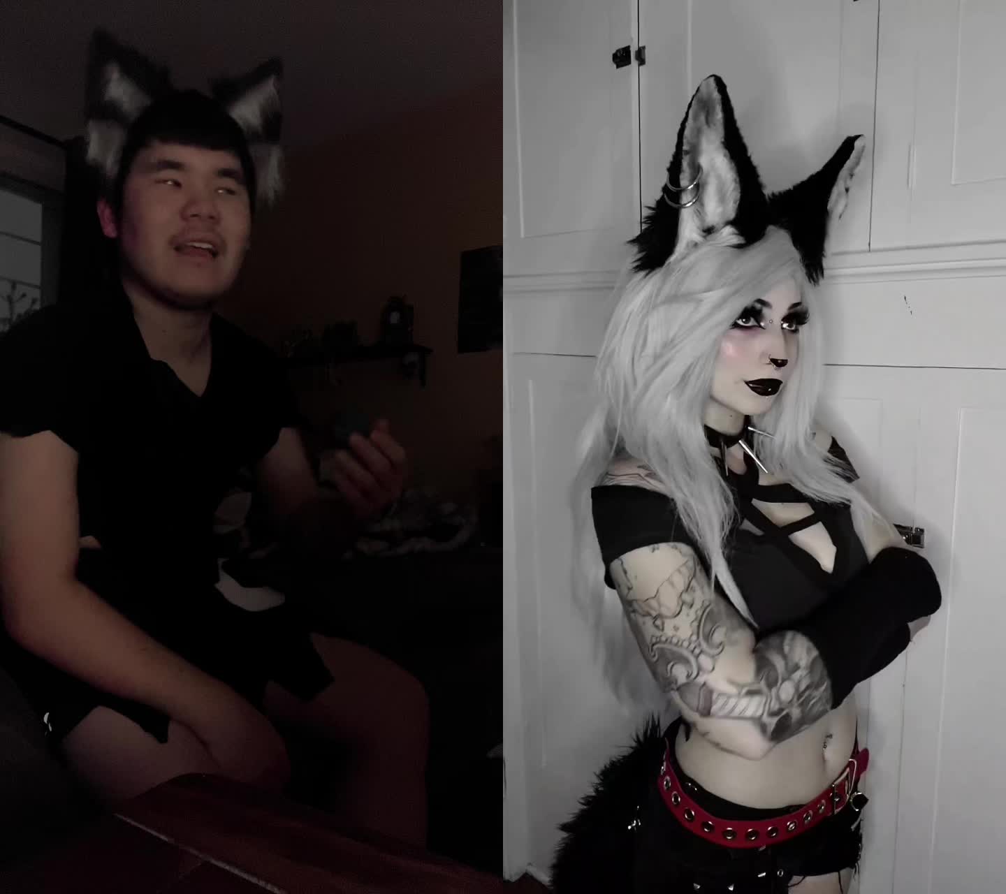 @Havoc the Hellhound