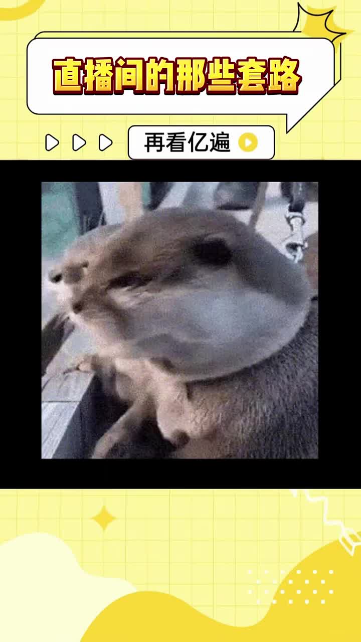 @@精致生活
