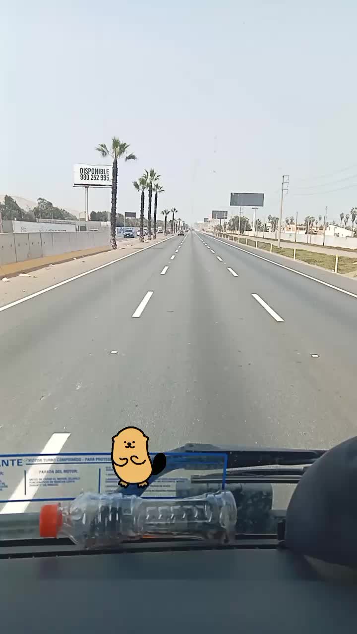 @carlosflores049