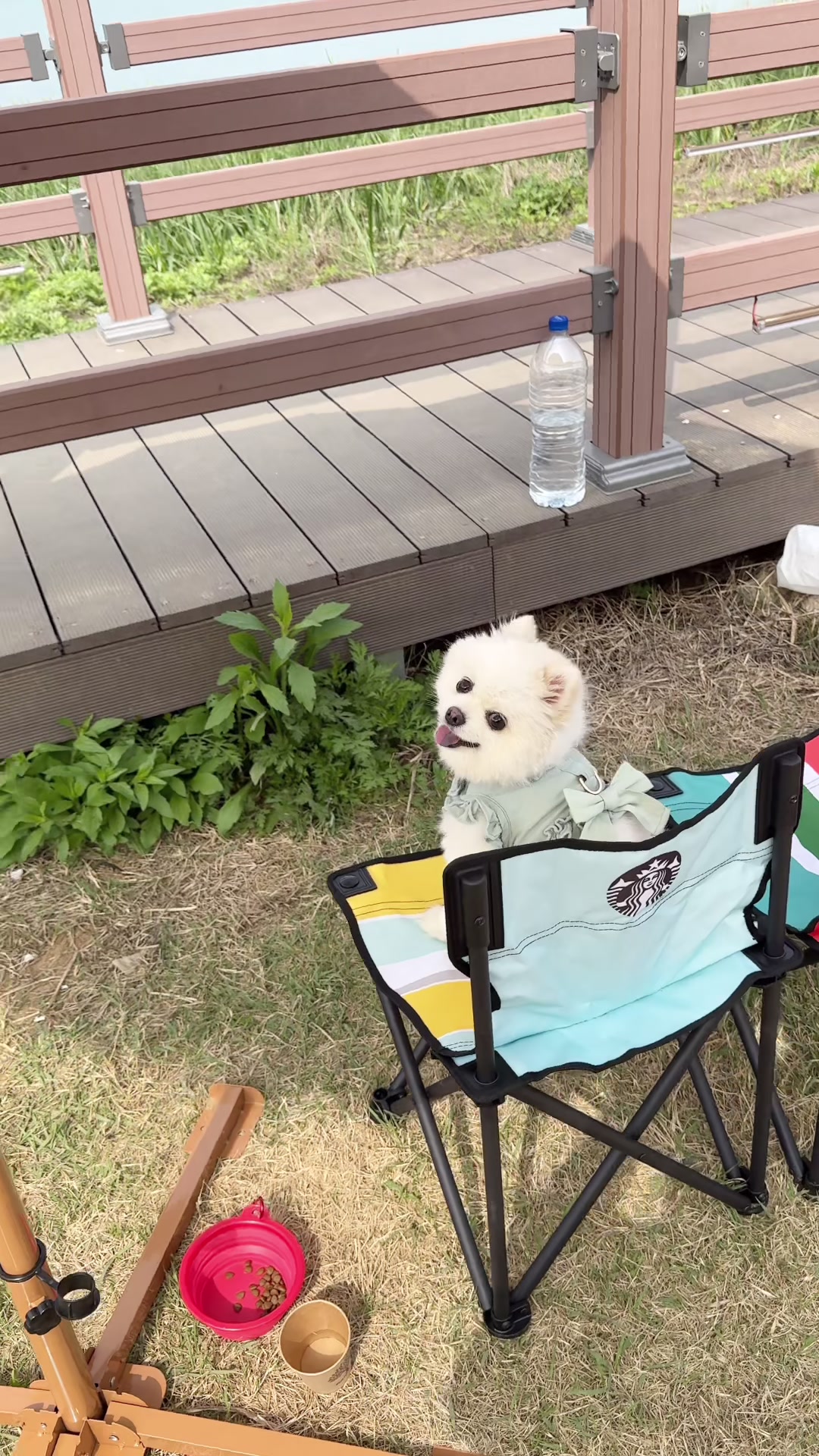 @권하리