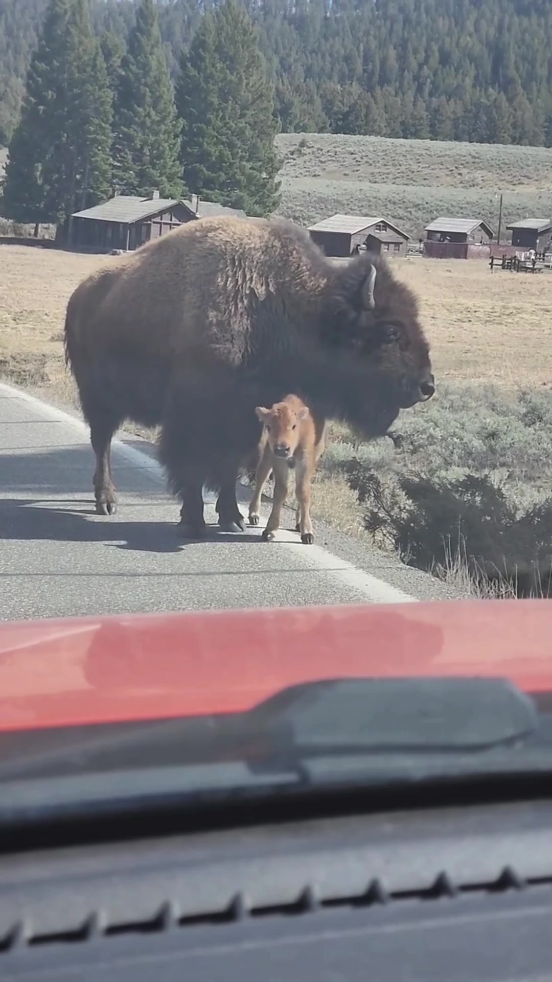 @VisitBigSky