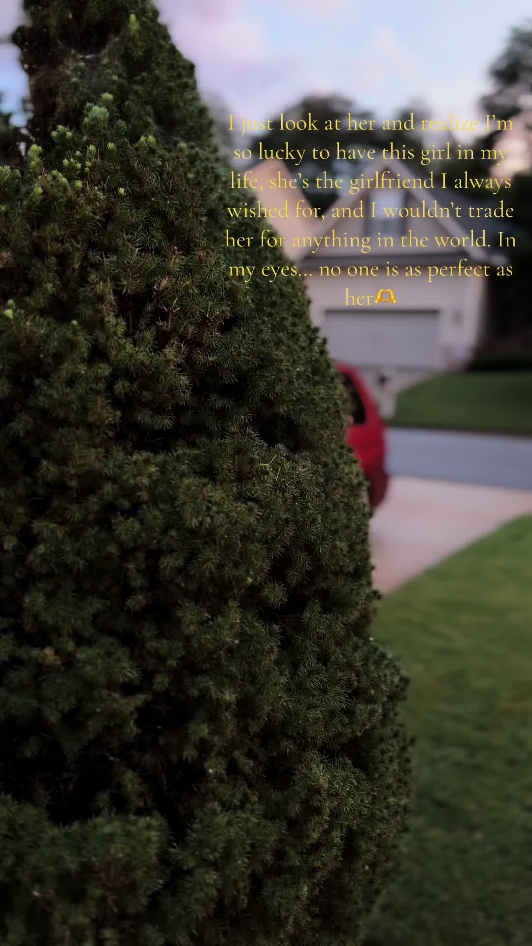 @DailyFOZ