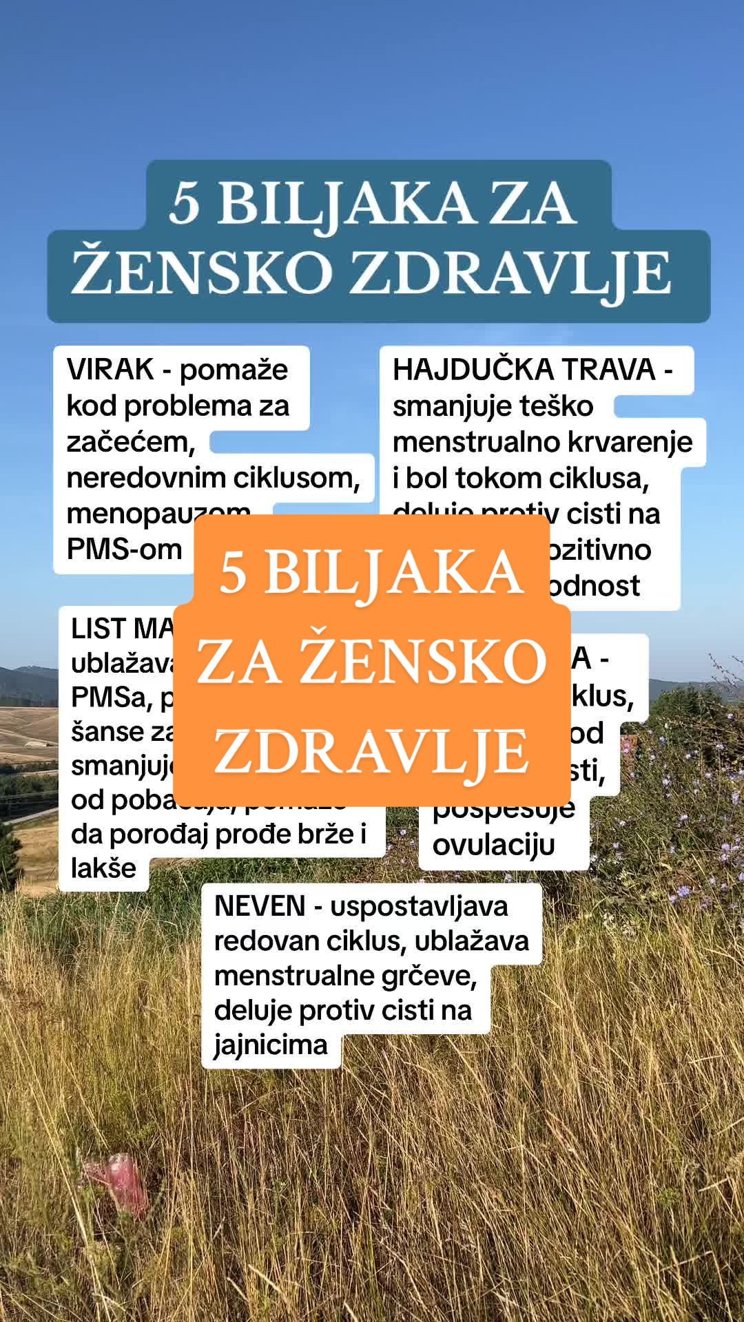 @Sandra🌷Zlatiborsko Zdravlje